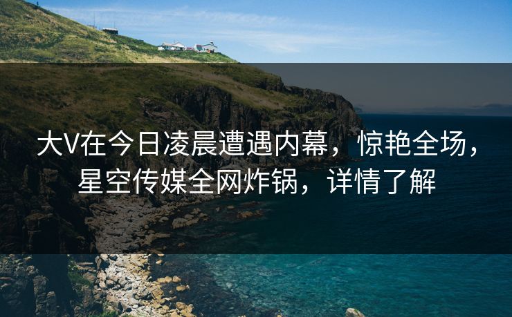 大V在今日凌晨遭遇内幕，惊艳全场，星空传媒全网炸锅，详情了解