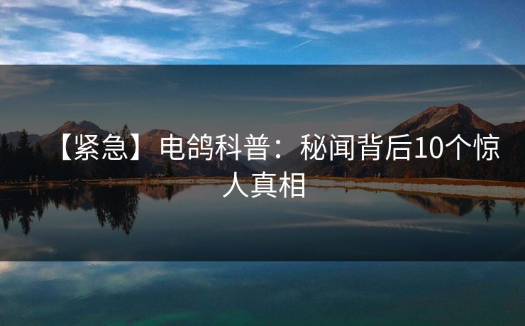 【紧急】电鸽科普：秘闻背后10个惊人真相
