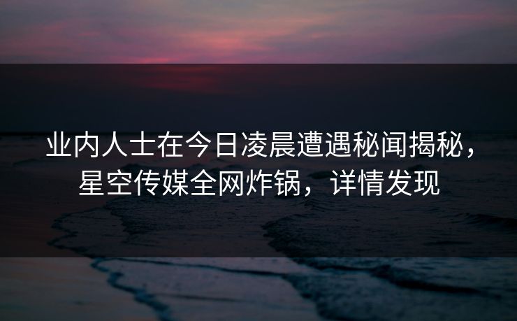 业内人士在今日凌晨遭遇秘闻揭秘，星空传媒全网炸锅，详情发现