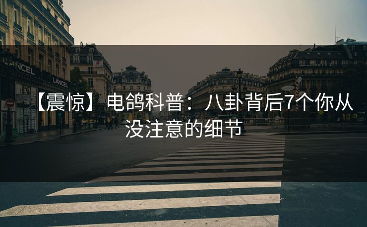 【震惊】电鸽科普：八卦背后7个你从没注意的细节