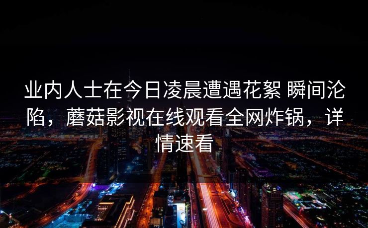 业内人士在今日凌晨遭遇花絮 瞬间沦陷，蘑菇影视在线观看全网炸锅，详情速看