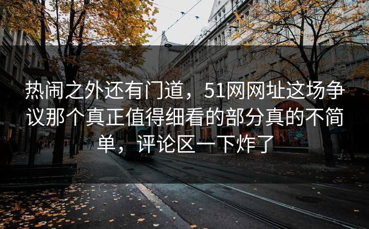 热闹之外还有门道，51网网址这场争议那个真正值得细看的部分真的不简单，评论区一下炸了